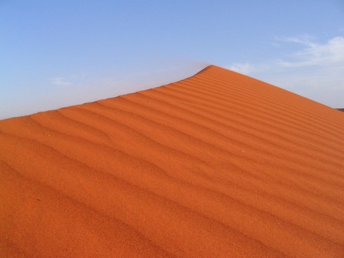 Wind blown sand dune top, Simpson Desert IMG_2317 | by daveo12