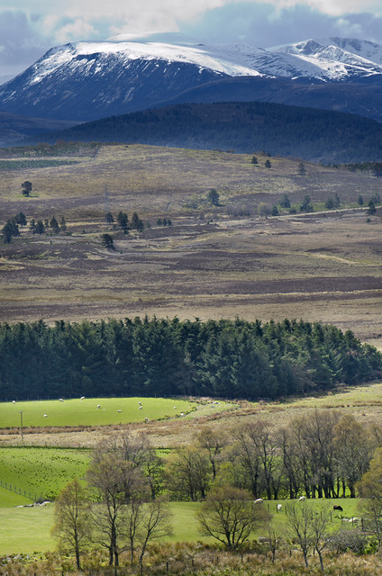 Fields of Scotland