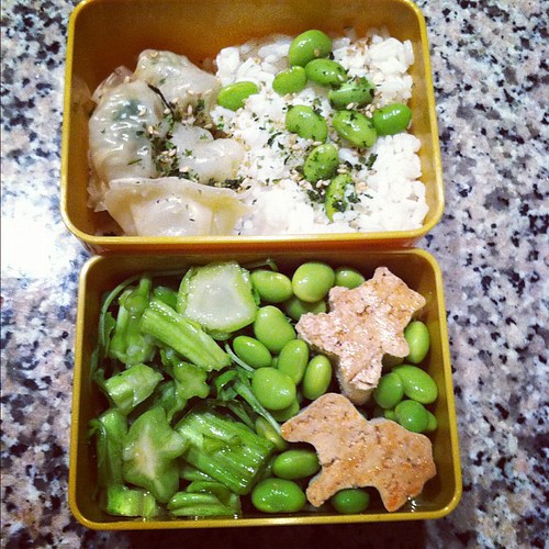 #kvpinmybelly : My #birthday #bento with chicken dumplings, rice, arugula and tofu. So cute! #fb