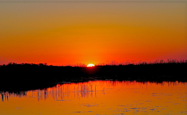 Sunset - Botswana's Okavango Delta