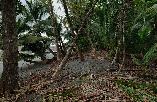 landscape geotagged costarica corcovadonationalpark parquenacionalcorcovado kostarika