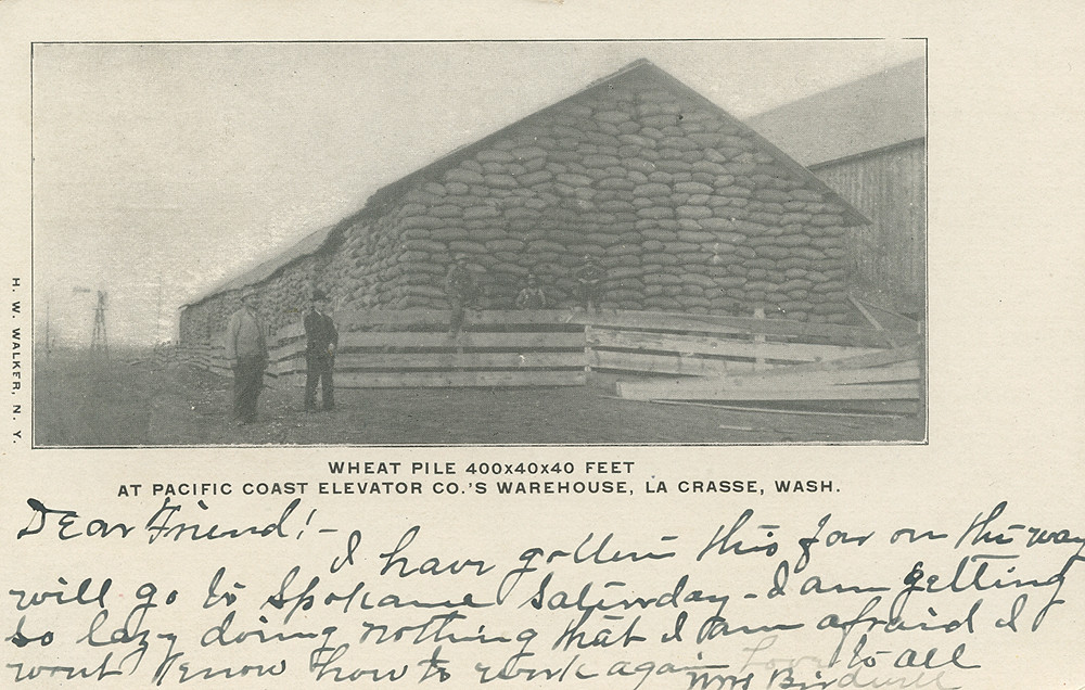Wheat Pile, Pacific Coast Elevator Company, 1909 - LaCrosse, Washington