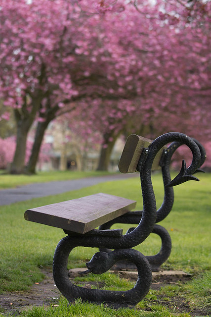 Blossom Bench