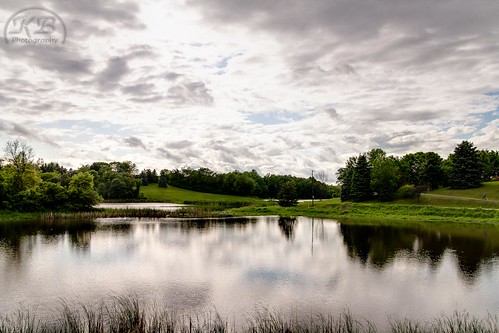 trees sky sunlight lake green wet water grass clouds landscape spring flickr scenic peaceful calm cumulus lush ponds hdr facebook