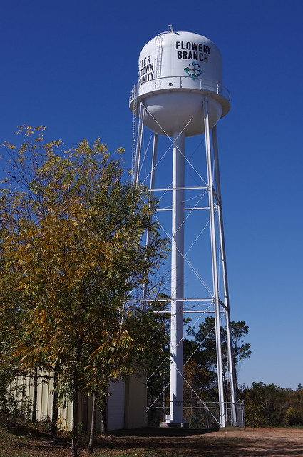 Flowery Branch Water Tower
