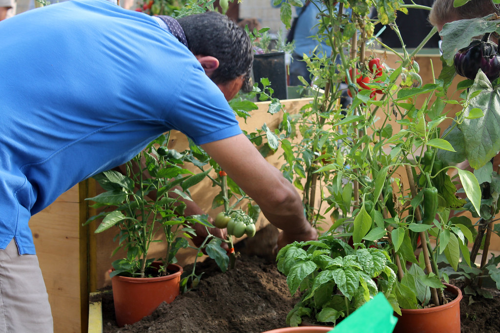 G.N.A.M. Village Il Villaggio della Dieta Mediterranea e della Biodiversità
