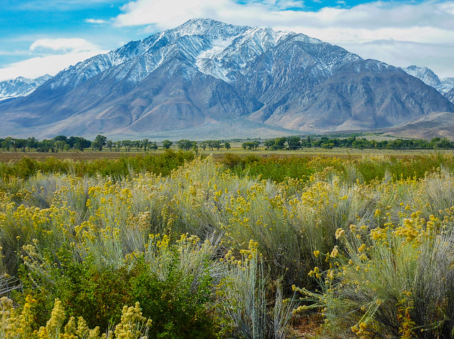 Artist palette of colors in the Owens Valley