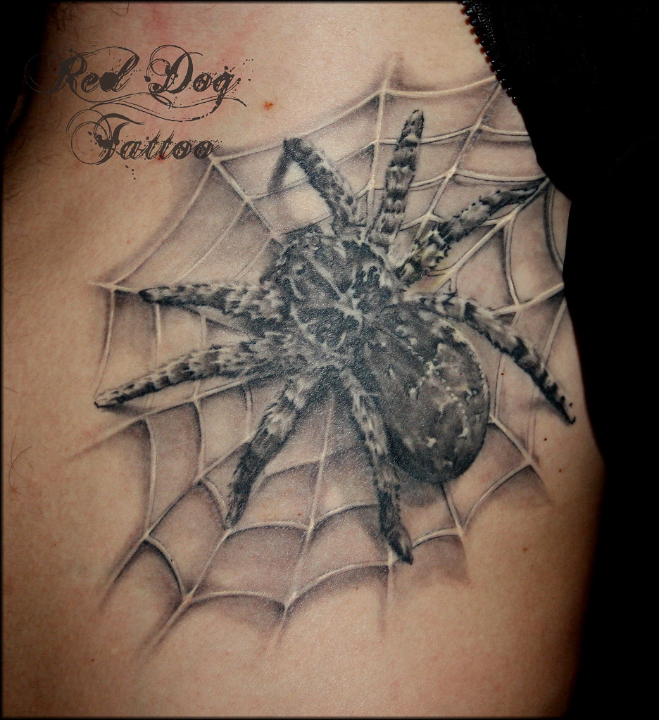 3D Spider Tattoo Healed | Tattoo done at Red Dog Tattoo, Ben… | Flickr