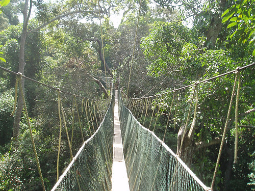 Taman Negara