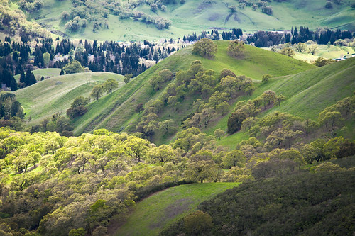 california green landscape view hills mtdiablo karith explored