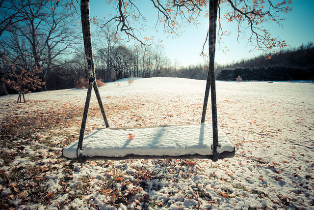 A swing in the wood