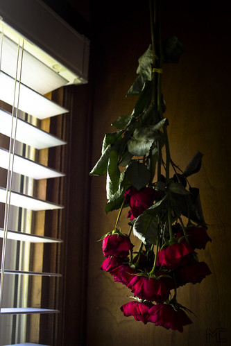 pink flowers roses green hanging inside leafs drying