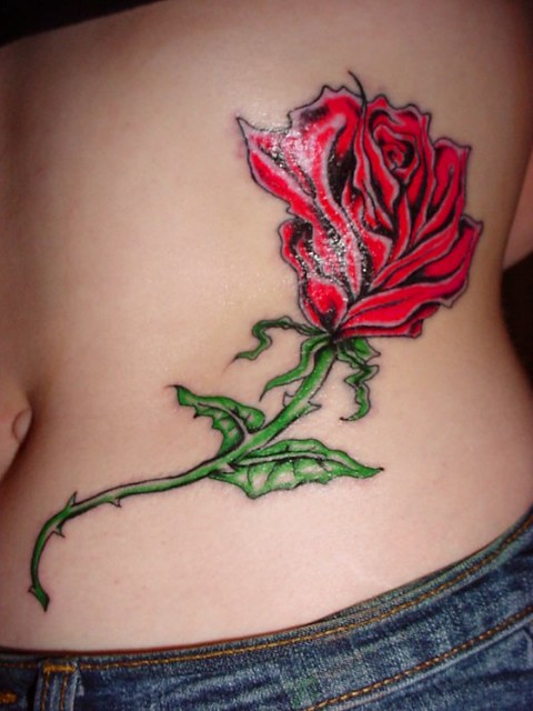 4 Sheets Women Rose Tattoo Sleeve Rose Temporary Tattoos Black Flower Tattoo  Stickers For ShoulderBackArmLegBody  Buy Online at Best Price in KSA   Souq is now Amazonsa Beauty