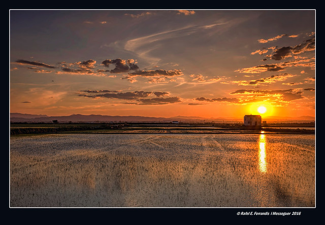 L'ocàs a la marjal de Sollana 58 (Sunset at Sollana's marsh 58)