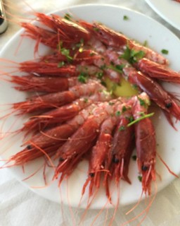 Mazara shrimp
