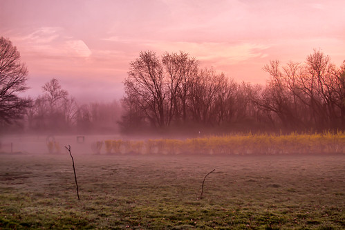 park morning trees mist sunrise canon day cloudy pennsylvania foggy tony 7d babcock
