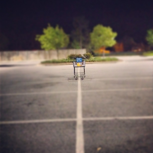 The Lone Cart Of The Apocalypse | keith kendall | Flickr