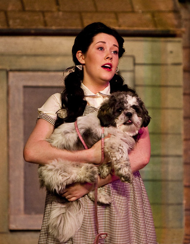 Wizard Of Oz | by marra121