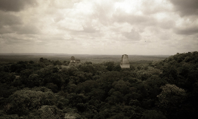 Las pirámides del complejo de Tikal, asomando en la selva