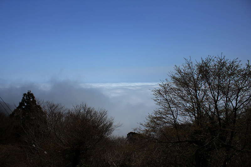 雲海を見れた筑波山