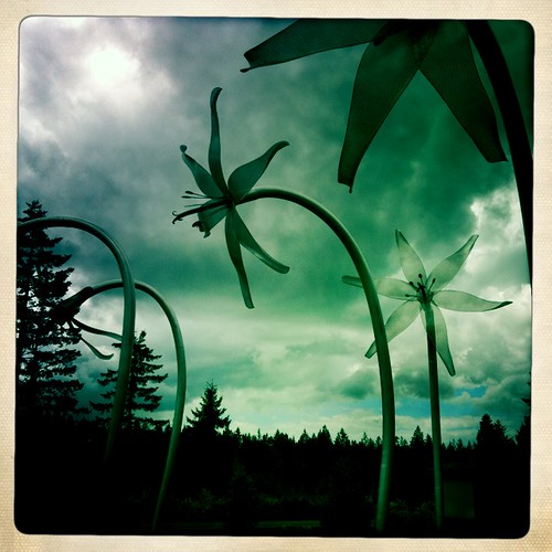 flowers school sculpture metal noflash jrhigh puyallup southhill glacierview johnslens hipstamatic inas1969film