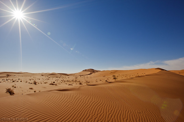 The Desert Under The Sun