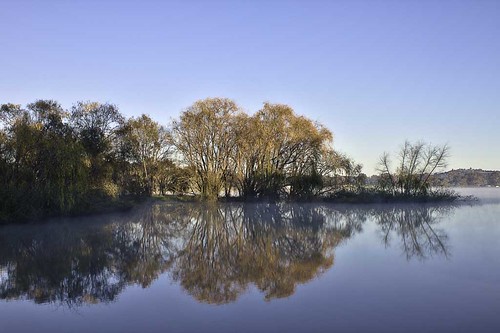 morning trees winter mist lake water canon reflections day clear 7d lakealbert abcopen:project=winter