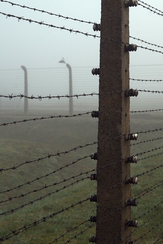 Electrified fence | by SlartyB52