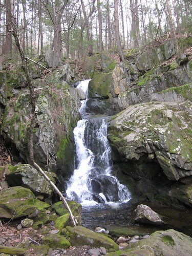 tree creek waterfall stream massachusetts newengland chester berkshires brook pioneervalley 040112 goldminebrookfalls