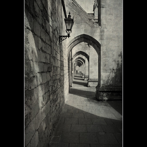 Winchester Cathedral by Fergus Maryfield