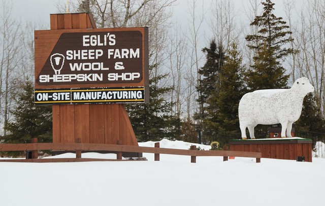 Speciesism: Egli's Wool & Sheepskin Shop
