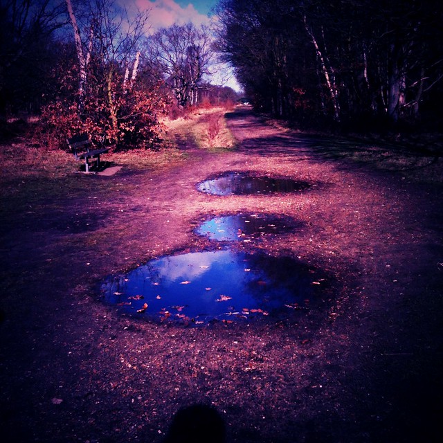 blue puddles