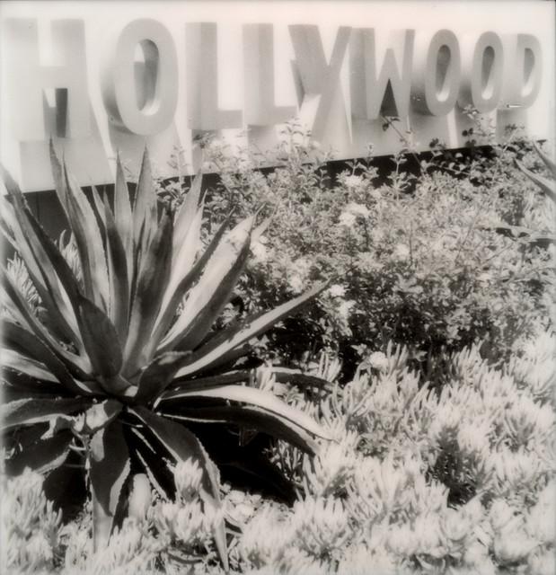 A Hollywood Sign 2