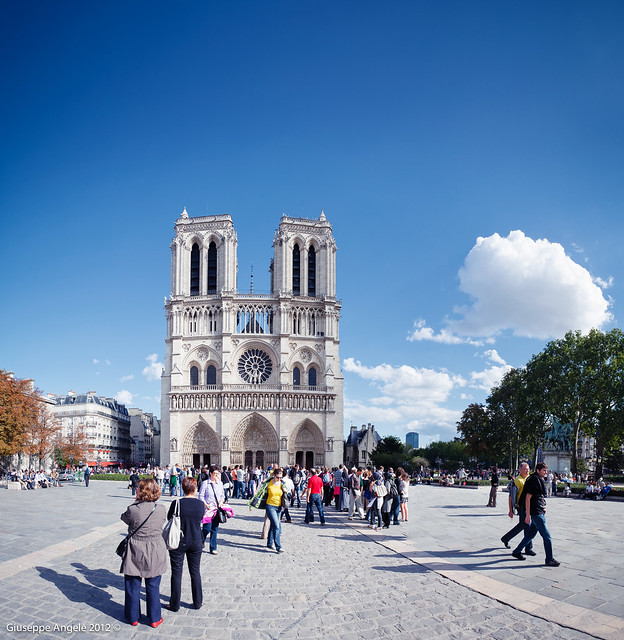 Large View of Notre-Dame (Paris France)
