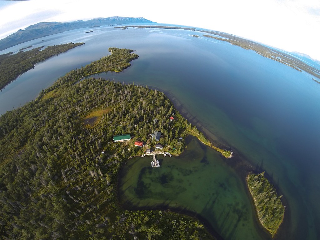 Alaska Salmon Program research station on Porcupine Island, Iliamna Lake. UW