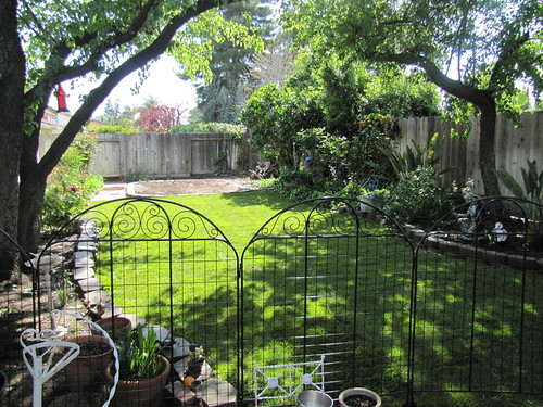 backyard 006 | by She'sSewPretty