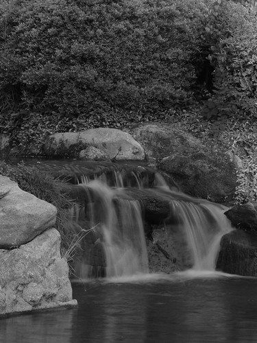 california ca waterfall pentax may koi nook 2012 k5 koipond woodwardpark 77mm shinzenjapanesegarden smcpfa77mmf18 fa7718limited smcpentaxfa77mmf18limited nookwallpaper