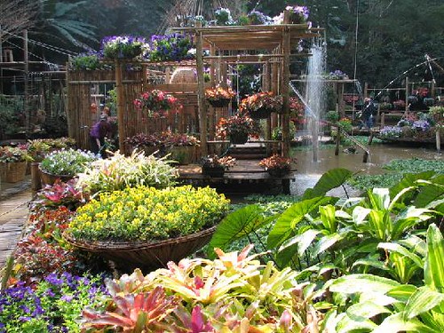 Giardini Reali di Mae Fah Luang