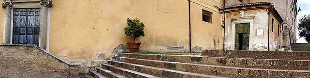 DC3208  Potted Tree - Rome  ©2012