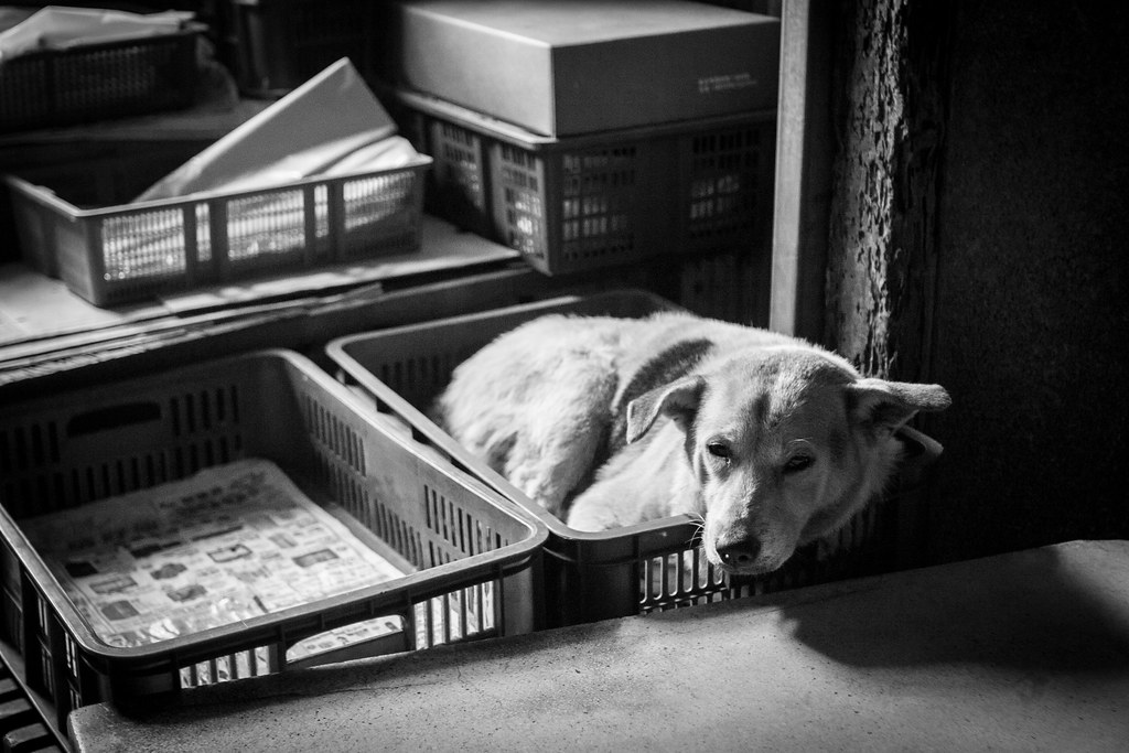 his-20120331-0215