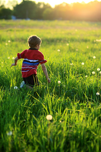 boy sunset grass childhood canon geotagged weeds running getty geotag tallgrass dandelions gettyimages 5dmkii sigma85mmf14exdghsm sigma85f14