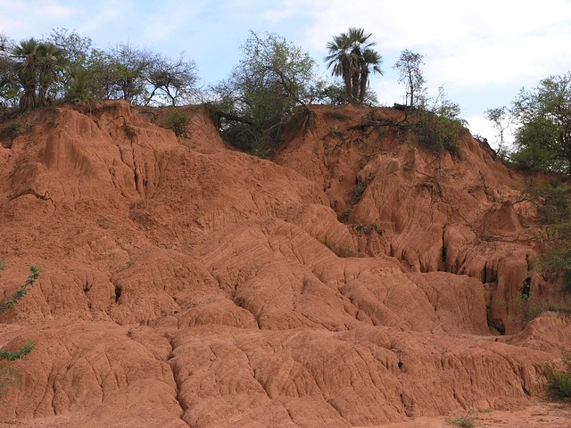 Erosion - entre Tarija y Villamontes, Departamento de Tarija, Bolivia