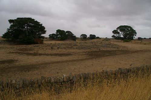 Basalt rock wall and rocky basalt country, near Colac, VIC, 20/0212 | by Russell Cumming
