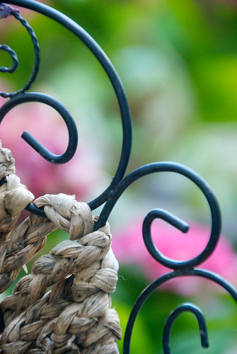 When Autofocus Doesn't Work | by ♥ Mary Moore