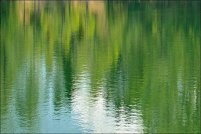 20120720_reflections
