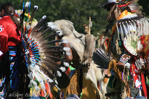 newyork festival back costume wolf view skin indian traditional feathers longisland nativeamerican arrow tribe powwow shinnecock scabbard