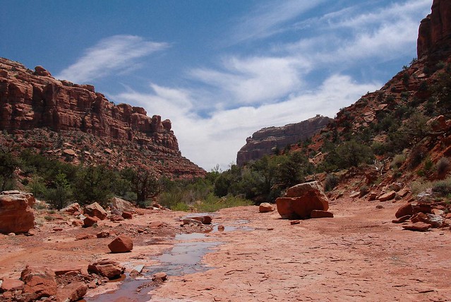 Valley of the Gods return hike: wide streambed
