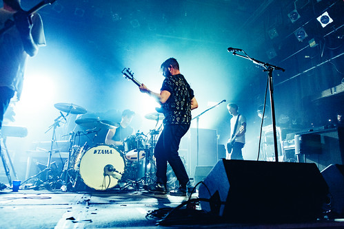 Foals