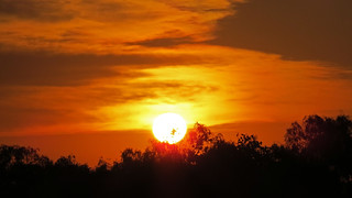 Sunset near Seguin, TX