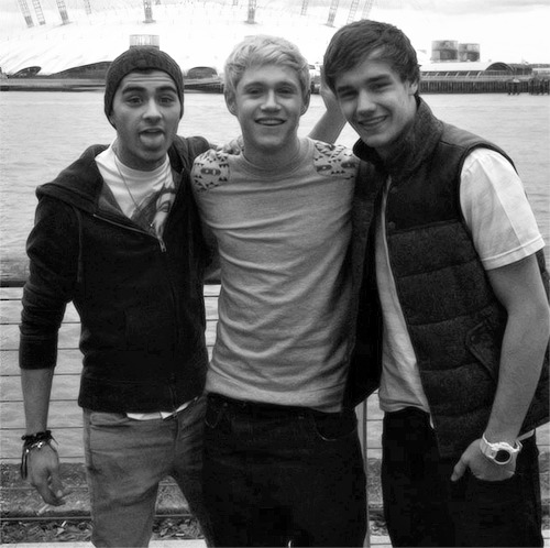 Zayn Malik, Niall Horan, & Liam Payne.